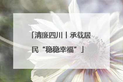 清廉四川丨承载居民“稳稳幸福”
