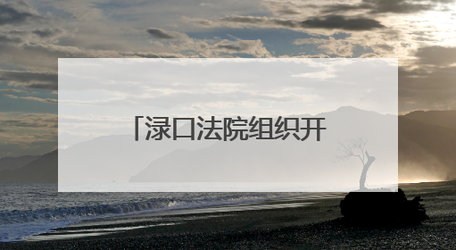 渌口法院组织开展禁毒宣传活动