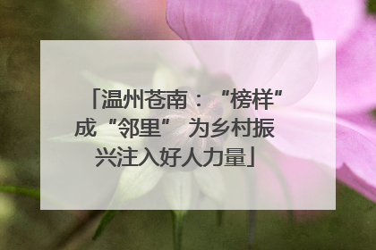 温州苍南：“榜样”成“邻里” 为乡村振兴注入好人力量