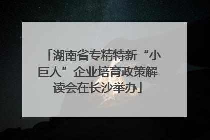 湖南省专精特新“小巨人”企业培育政策解读会在长沙举办