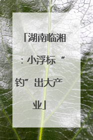 湖南临湘：小浮标“钓”出大产业