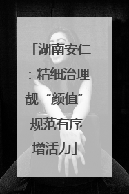 湖南安仁：精细治理靓“颜值” 规范有序增活力