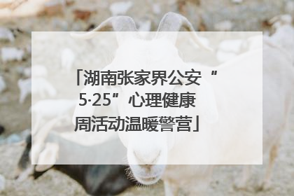 湖南张家界公安“5·25”心理健康周活动温暖警营