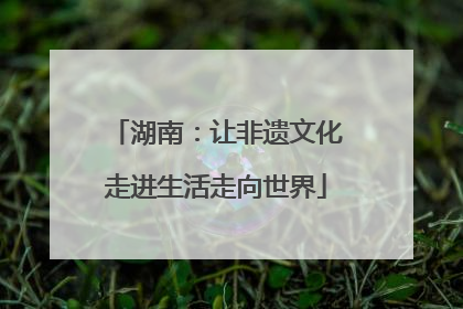 湖南：让非遗文化走进生活走向世界