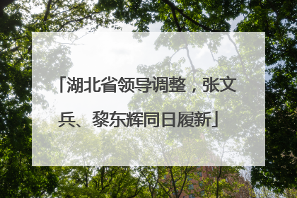 湖北省领导调整，张文兵、黎东辉同日履新