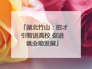 湖北竹山：招才引智进高校 促进就业助发展