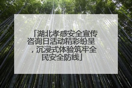 湖北孝感安全宣传咨询日活动精彩纷呈，沉浸式体验筑牢全民安全防线