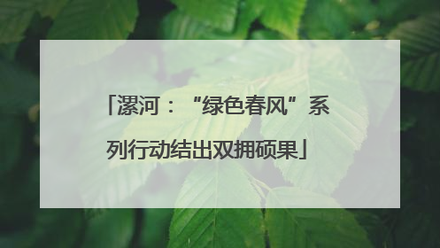 漯河：“绿色春风”系列行动结出双拥硕果