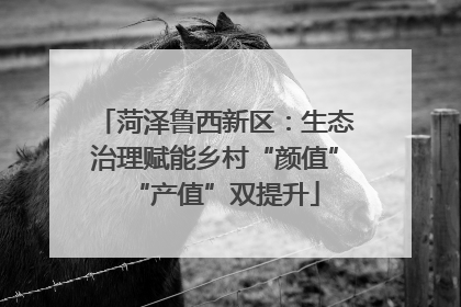 菏泽鲁西新区：生态治理赋能乡村“颜值”“产值”双提升