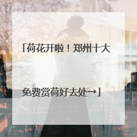 荷花开啦！郑州十大免费赏荷好去处→