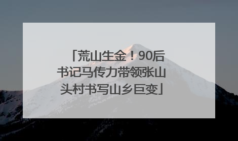 荒山生金！90后书记马传力带领张山头村书写山乡巨变