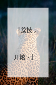 荔枝，开炫～