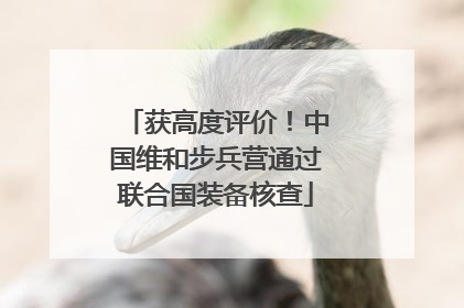 获高度评价！中国维和步兵营通过联合国装备核查