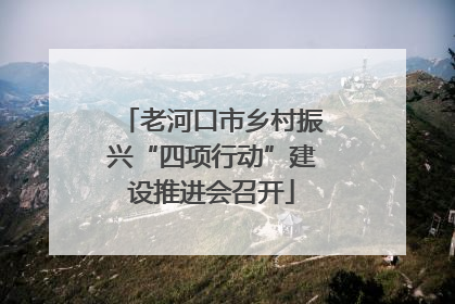 老河口市乡村振兴“四项行动”建设推进会召开