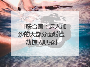 联合国：运入加沙的大部分面粉遭劫掠或哄抢