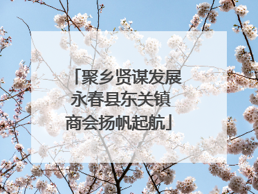 聚乡贤谋发展 永春县东关镇商会扬帆起航