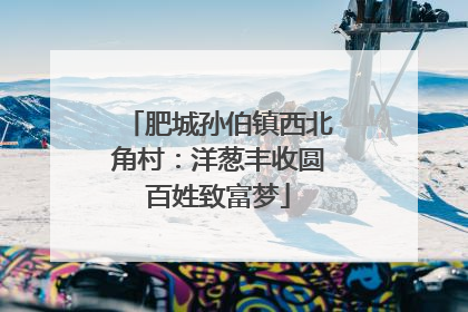 肥城孙伯镇西北角村：洋葱丰收圆百姓致富梦