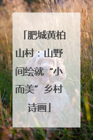 肥城黄柏山村：山野间绘就“小而美”乡村诗画