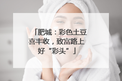 肥城：彩色土豆喜丰收，致富路上好“彩头”
