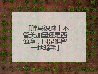 胖马识球丨不管美加墨还是西葡摩，国足唯留一地鸡毛