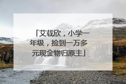 艾载欣，小学一年级，捡到一万多元现金物归原主