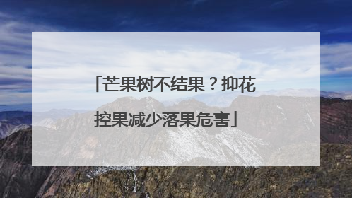 芒果树不结果？抑花控果减少落果危害