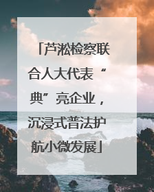 芦淞检察联合人大代表“典”亮企业，沉浸式普法护航小微发展