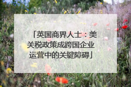 英国商界人士：美关税政策成跨国企业运营中的关键障碍