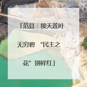 范县：接天莲叶无穷碧 “民主之花”别样红