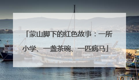 蒙山脚下的红色故事：一所小学、一盏茶碗、一匹病马