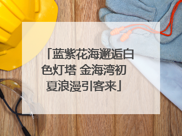 蓝紫花海邂逅白色灯塔 金海湾初夏浪漫引客来