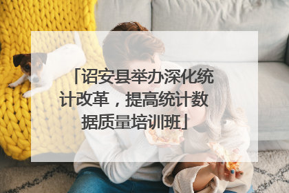 诏安县举办深化统计改革，提高统计数据质量培训班