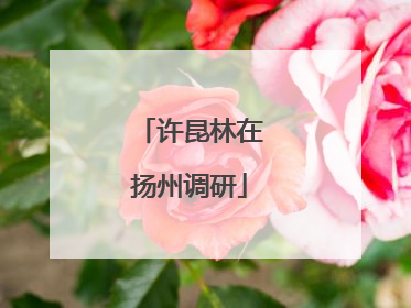 许昆林在扬州调研