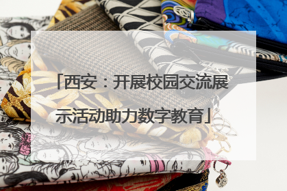 西安：开展校园交流展示活动助力数字教育