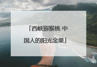 西峡猕猴桃 中国人的阳光金果