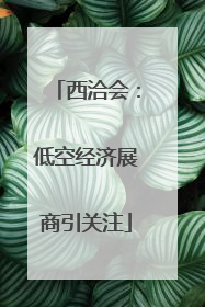西洽会：低空经济展商引关注