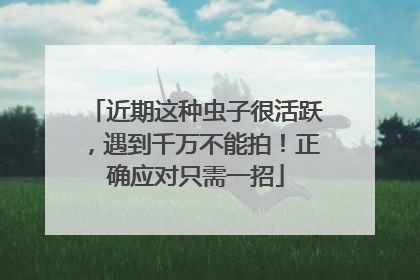 近期这种虫子很活跃，遇到千万不能拍！正确应对只需一招