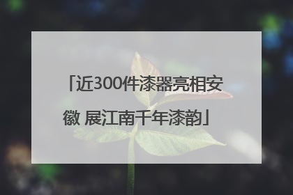 近300件漆器亮相安徽 展江南千年漆韵