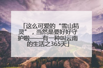 这么可爱的“雪山精灵”，当然是要好好守护啦——有一种叫云南的生活之365天