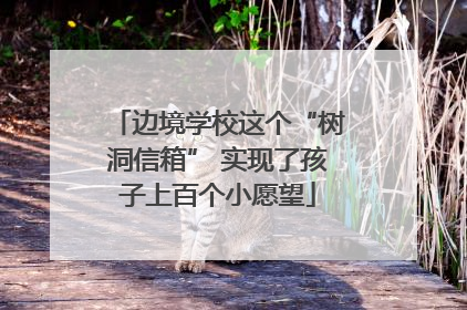 边境学校这个“树洞信箱” 实现了孩子上百个小愿望