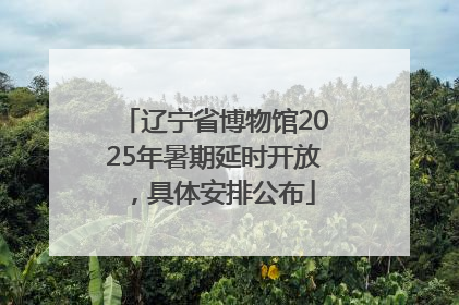 辽宁省博物馆2025年暑期延时开放，具体安排公布