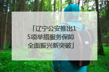 辽宁公安推出15项举措服务保障全面振兴新突破