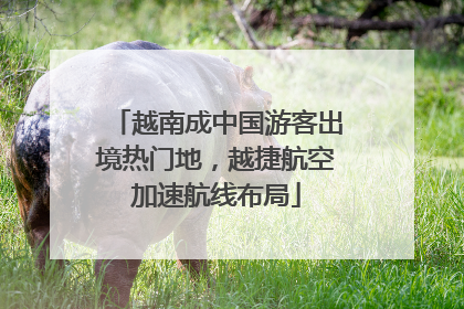 越南成中国游客出境热门地，越捷航空加速航线布局