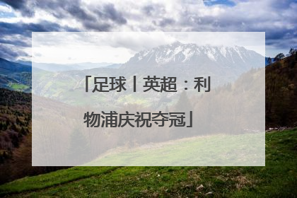 足球丨英超：利物浦庆祝夺冠