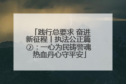 践行总要求 奋进新征程丨执法公正篇②：一心为民铸警魂 热血丹心守平安