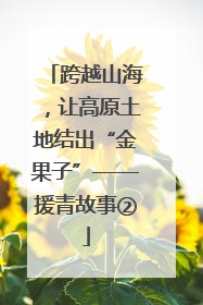 跨越山海，让高原土地结出“金果子”——援青故事②