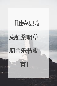 逊克县奇克镇黎明草原音乐节收官