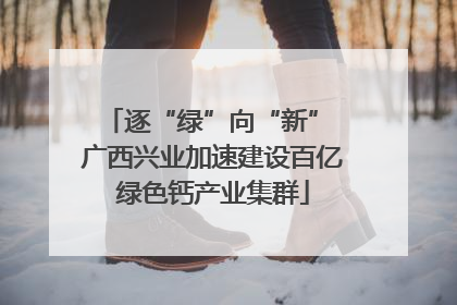 逐“绿”向“新” 广西兴业加速建设百亿绿色钙产业集群