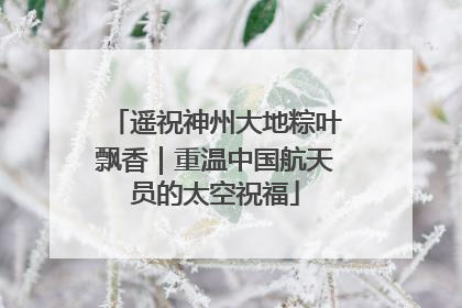 遥祝神州大地粽叶飘香｜重温中国航天员的太空祝福