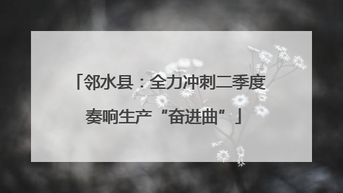 邻水县：全力冲刺二季度 奏响生产“奋进曲”